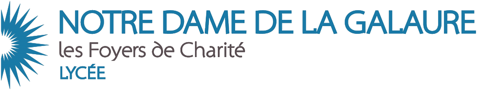 logo-lycee-notre-dame-de-la-galaure